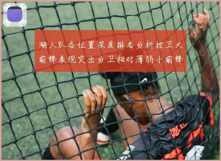 湖人队各位置深度排名分析控卫大前锋表现突出分卫相对薄弱小前锋与中锋处于中游水平