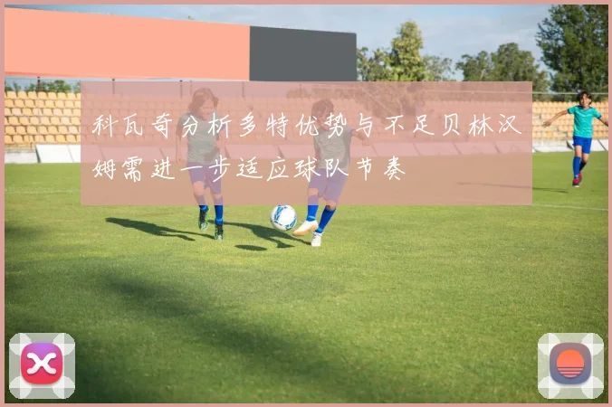 科瓦奇分析多特优势与不足贝林汉姆需进一步适应球队节奏